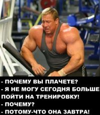 Смешные картинки с подписями