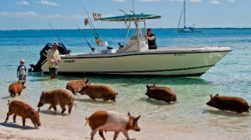 От сказано, билиять, - моря поблизости нетУ!