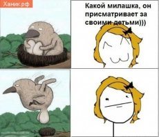 Куры, несущие разноцветные яйца. Часть первая