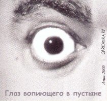 Шнуров предложил снять порнофильм о ЧМ-2018