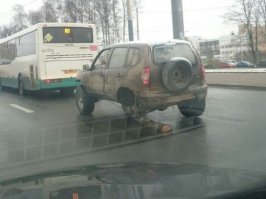 Автовсячина. Колёса