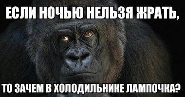 11 шуточных типов едоков, с которыми вы точно сталкивались