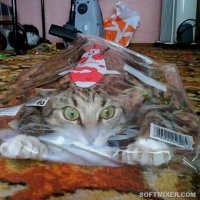 Сперва как-то так выглядит