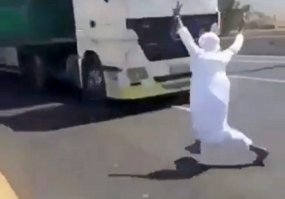 Вот скакун арабский