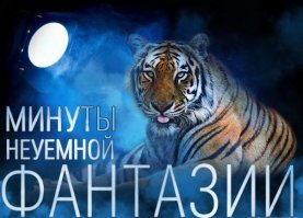 Не, кот с лампой такую беспощадную феерическую йухню не вывезет