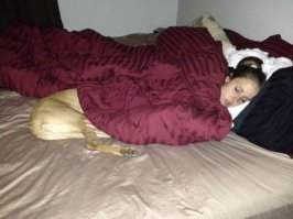 Что там песик делает, девка от удовольствия рот открыла глаза закатила!