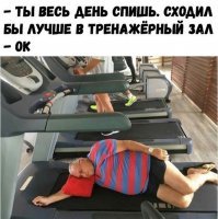 Веселые фотки с надписями