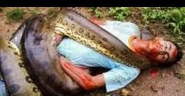 Просто нет слов....