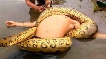 Просто нет слов....