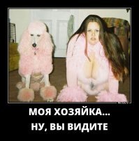 Демотиваторы с собаками