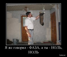 кототестер