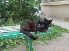 Братаны :)
