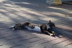 Вечерний релакс, Кабардинка