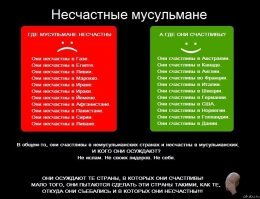 В Дании разгорается борьба за паранджу