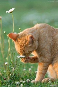 да....мне можно ВСЁ.