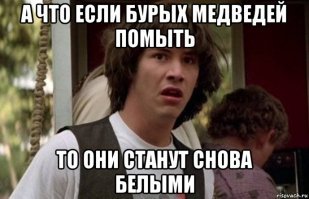 Белых медведей губит глобальное потепление: фотосвидетельства