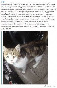 Вещдок или преступник?