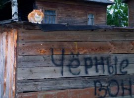 кот клус клан