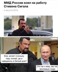 "Безнадежно": Стивен Сигал займется американо-российским пиаром