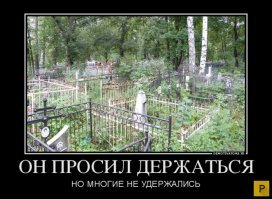 Свежая подборка демотиваторов, которые поднимут вам настроение