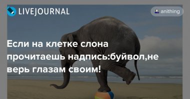 Росстат объявил об увеличении средней зарплаты россиян