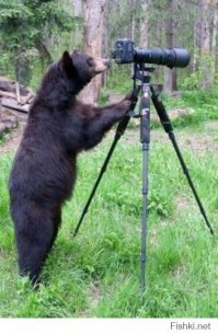 Как работают по-настоящему изворотливые фотографы