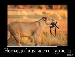 Как работают по-настоящему изворотливые фотографы