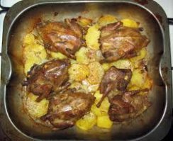 В Лондоне питон сожрал голубя посреди центральной улицы