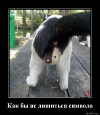 Свежая подборка демотиваторов, которые поднимут вам настроение