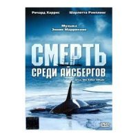 Косатка угнала судно и устроила аварию