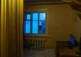 15 самых абсурдных фотографий из социальных сетей