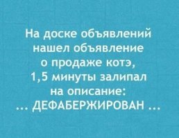 жалко котейку.