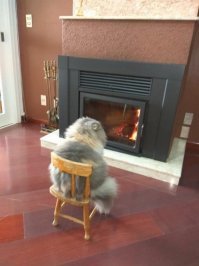 25 прекрасных фотографий, которые говорят больше, чем тысячи слов