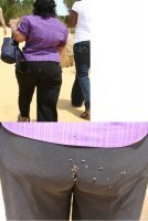 Ад на Земле: нашествие насекомых в России, как первый признак апокалипсиса