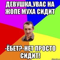 Ад на Земле: нашествие насекомых в России, как первый признак апокалипсиса