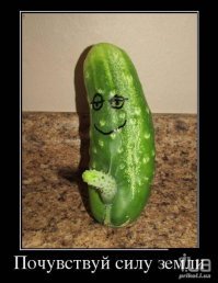 та вы заипали, патриоты!, я давно уже комменты закрыла, а вы всё пишите. Понос словесный - иди бухани и огырочик съешь! Поправь свой мозг. Шавло ты!