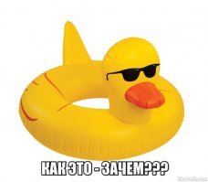 Господи, что же здесь вообще происходит?