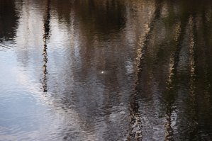 Калий хорош