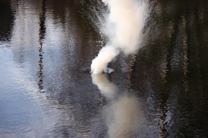 Калий хорош