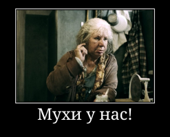 Ад на Земле: нашествие насекомых в России, как первый признак апокалипсиса
