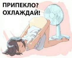 Диагноз ясен.
