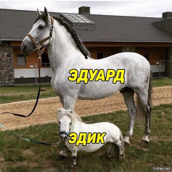 Картинки с надписями для настроения