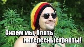 10 интересных фактов о Ямайке, которые вы, вероятно, не знали
