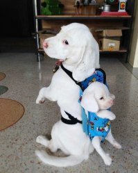 Фотоподборка за 08.08.2018