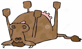 Ким Кардашьян сравнили с дохлым тараканом и лягушонком Кермитом