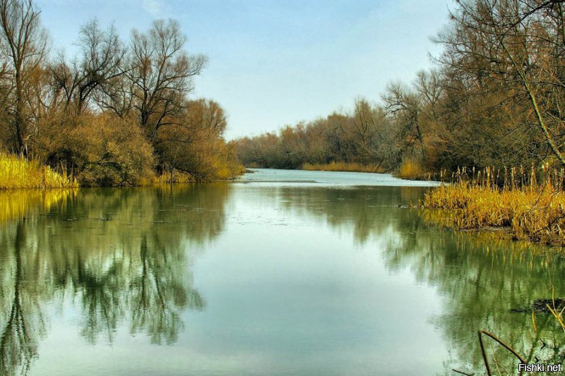 Да, и забыл - знаменитые херсонские плавни! Днепр в шаговой доступности, а не в шаровой))) Т9 по Фрейду)))