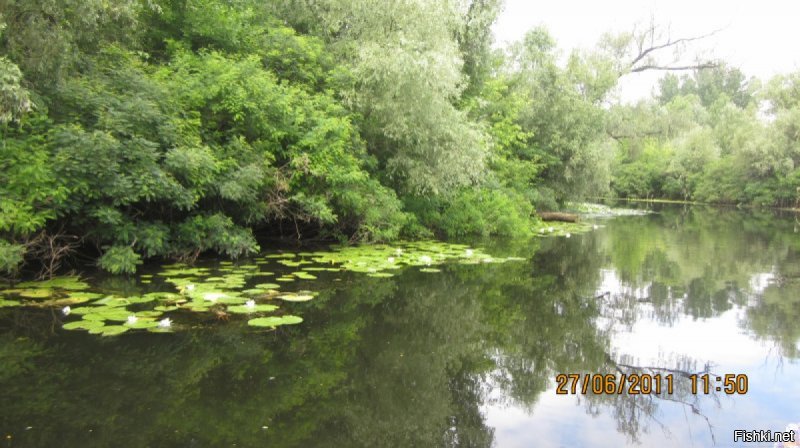 Да, и забыл - знаменитые херсонские плавни! Днепр в шаговой доступности, а не в шаровой))) Т9 по Фрейду)))