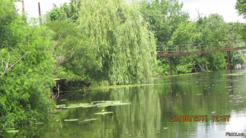 Да, и забыл - знаменитые херсонские плавни! Днепр в шаговой доступности, а не в шаровой))) Т9 по Фрейду)))