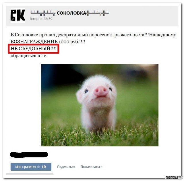 Толика чёрного юмора  