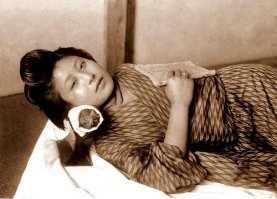 Такие?
 "Гейша"-это слово   японское.  Само слово состоит из двух частей "гей"- "искусство" и "ся"   "человек".
 В Поднебесной относительно женщин этой профессии употребляется слово "цзи".
Цзи в Китае назывались "опавшими цветами", а дома, где они жили - домами опавших цветов.